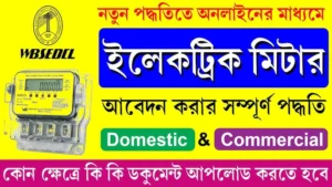 ইলেক্ট্রিক মিটার, বিদ্যুৎ মিটার (Electric Meter)