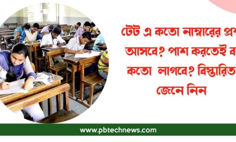 টেট পরীক্ষা (TET Examination)