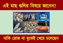 Fish Eating Benefit