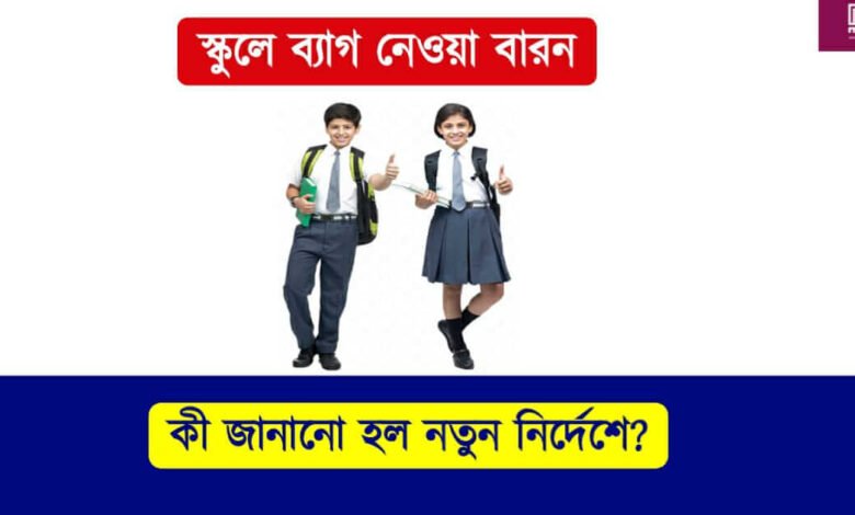 School Bag ( স্কুল ব্যাগ)