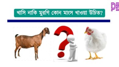 Meat Eating Benefit ( মাংস খাওয়ার উপকারিতা)