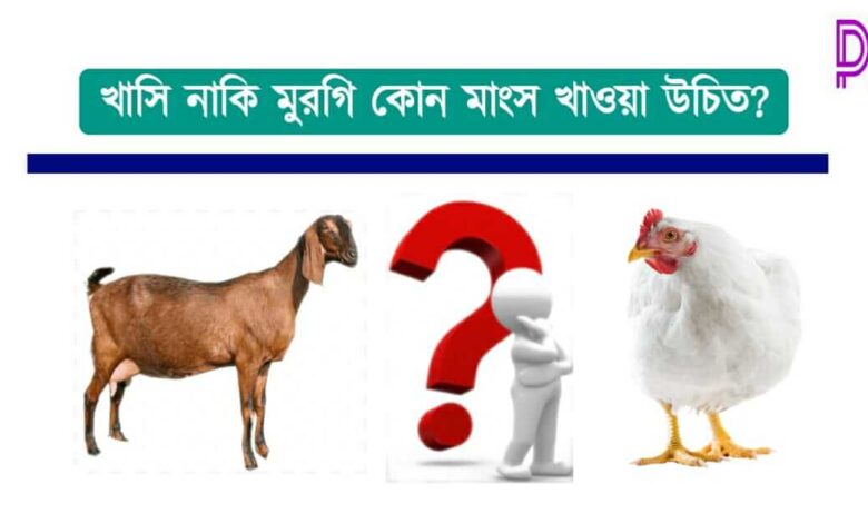 Meat Eating Benefit ( মাংস খাওয়ার উপকারিতা)