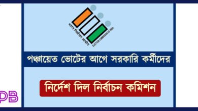 Panchayat Election ( পঞ্চায়েত ভোট)