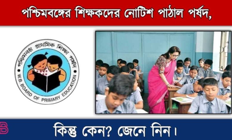 School Teacher ( স্কুল শিক্ষক)