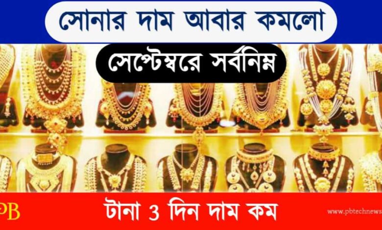 Gold Price Today (আজকের সোনার দাম)